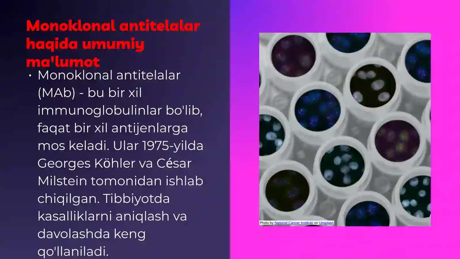 Monoklonal antitelalar va tibbiyot amaliyotlarida qoʻllanilishi 3