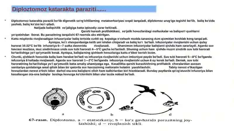 Baliqlarning invazion kasalliklari 3