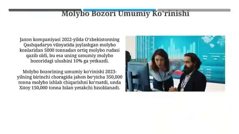 Molybo Bozori Umumiy Ko'rinishi 3