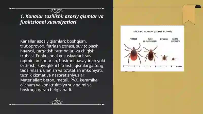 Kanalar tuzilishi xususiyatlari 3