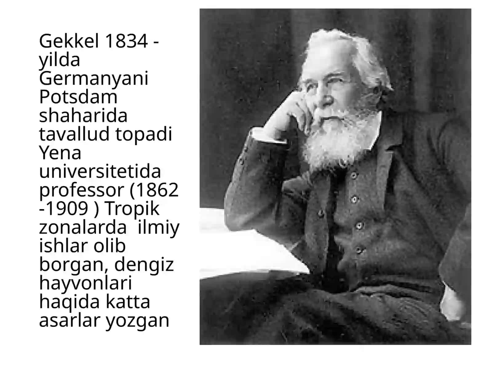 Ernst Gekkel 3