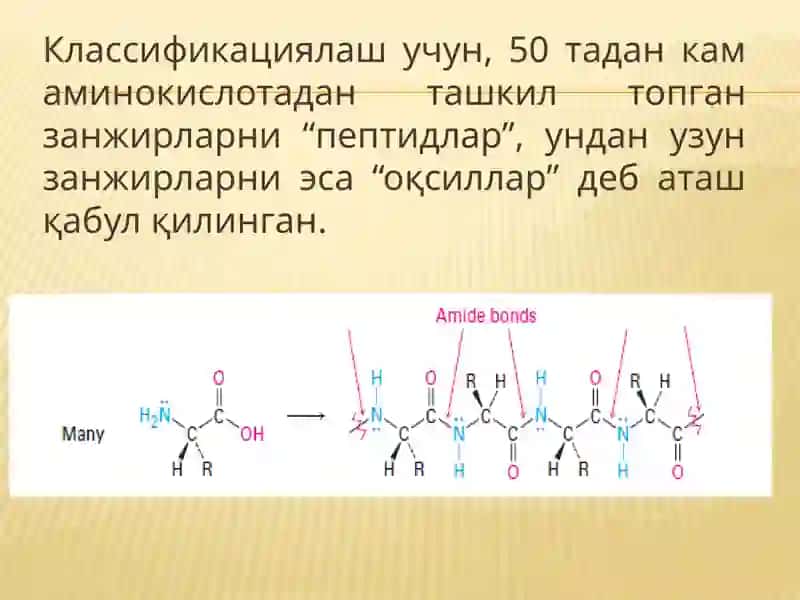 Аминокислоталар ва оқсиллар 3