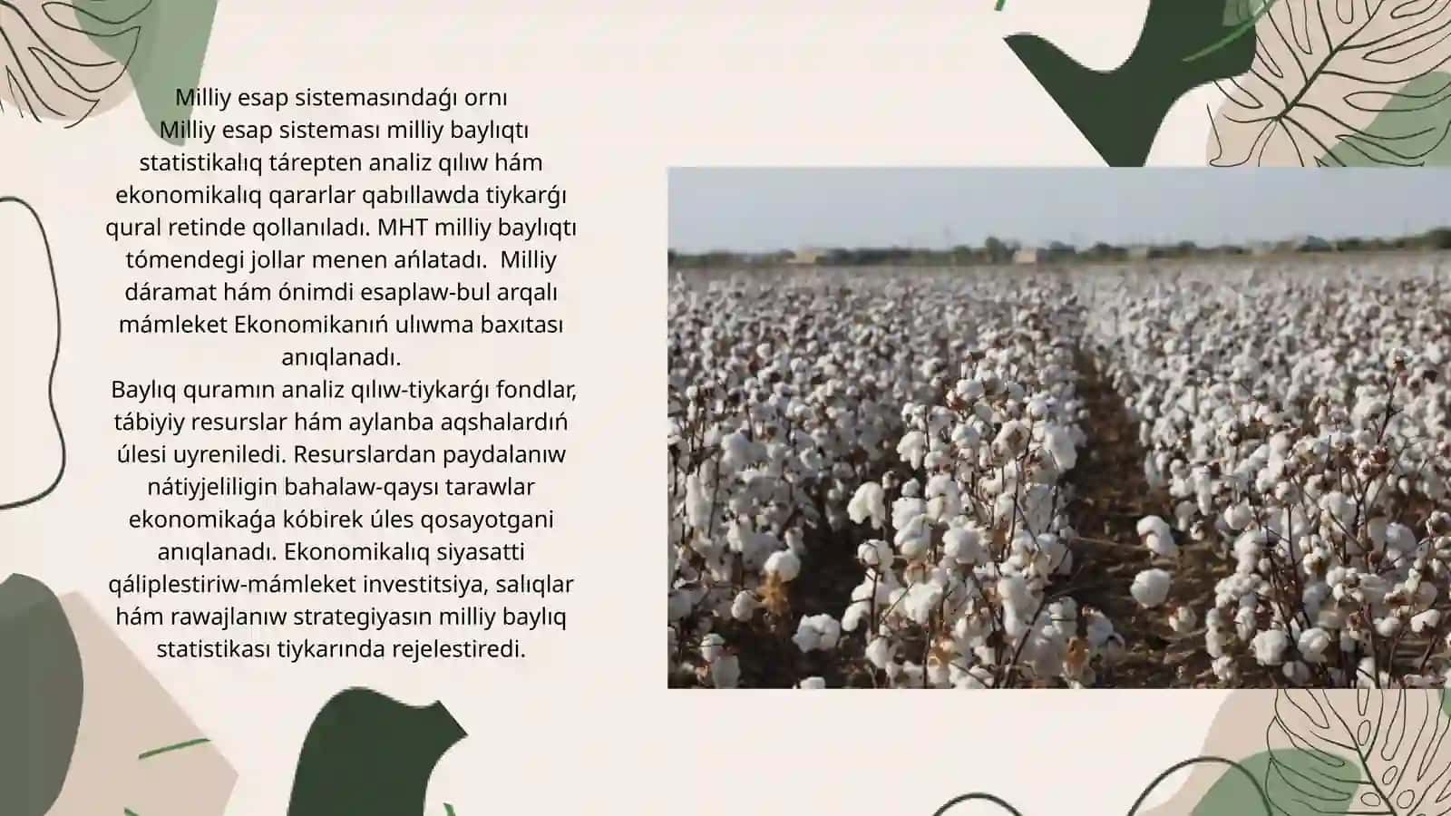 Milliy esap sistemasında milliy baylıq statistikası 3