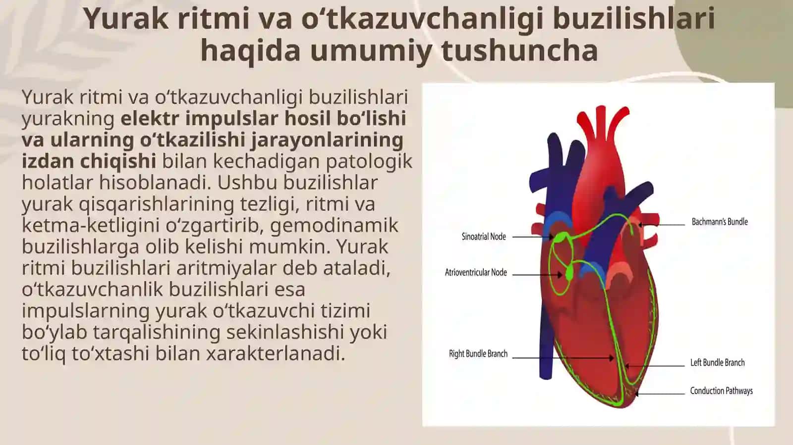 Yurakritmiva o‘tkazuvchanligi buzilishlari 3