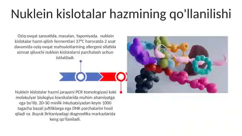 Nuklein kislotalarning hazim qilinishi 3