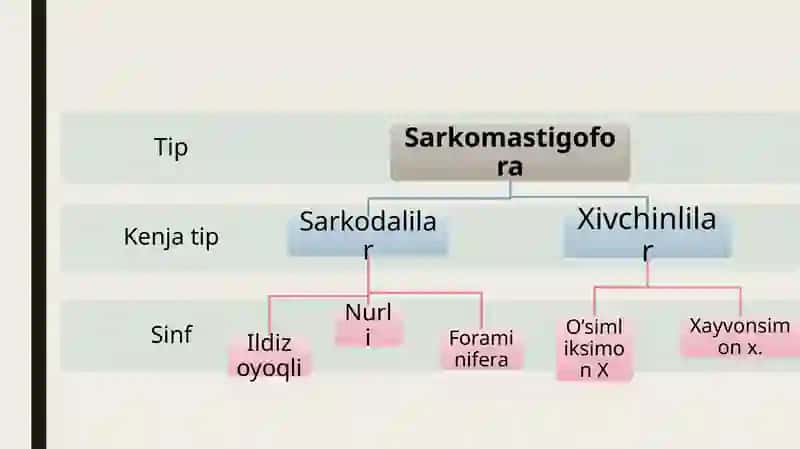 Parazitlarning kelib chiqish shajarasini tuzish 3