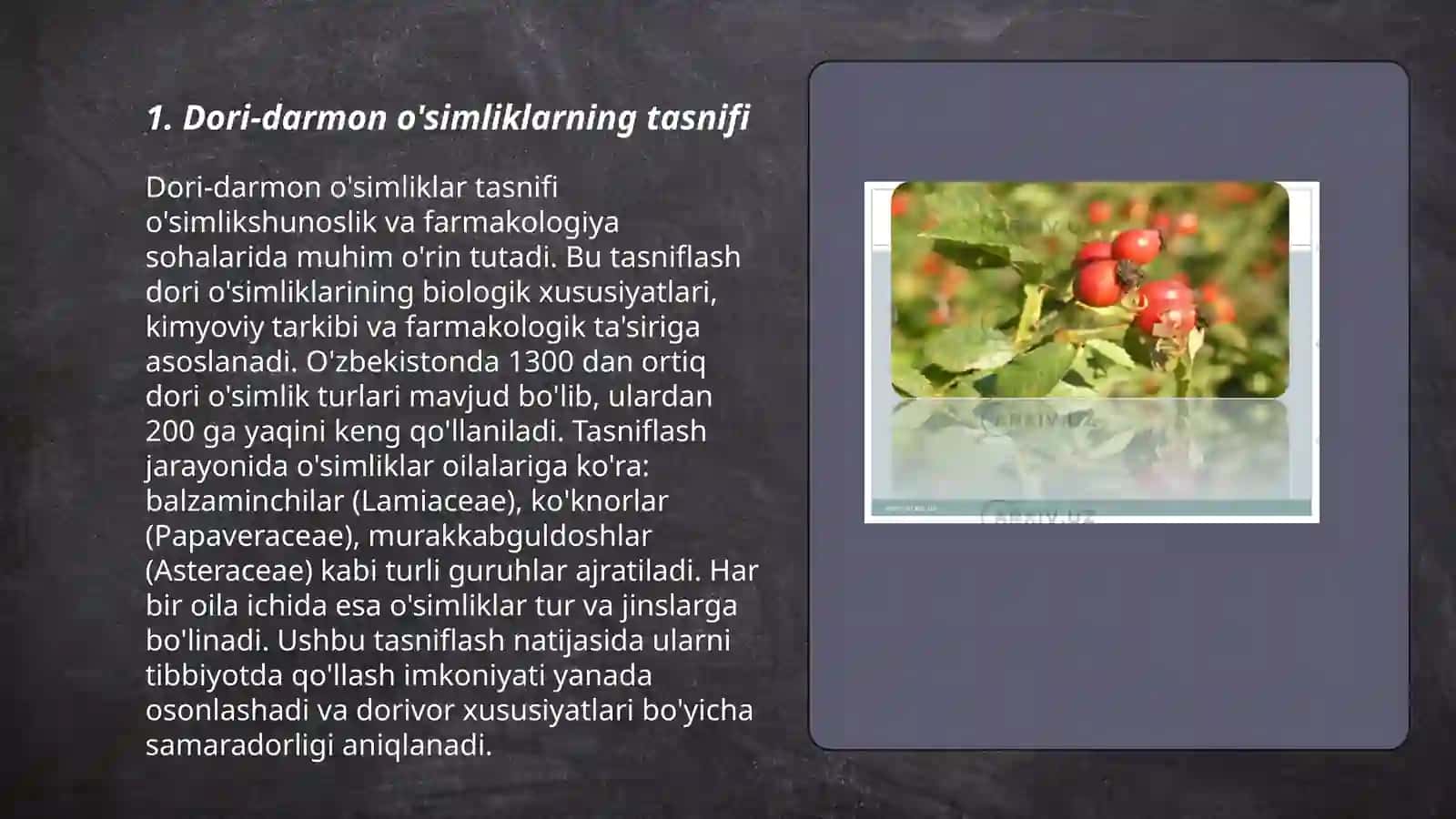 Dori-darmon o'simliklarning tasnifi 3
