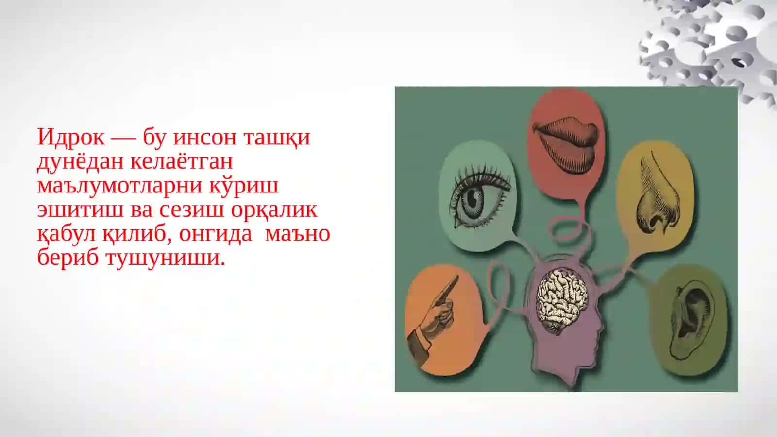 КОГНИТИВ ПСИХОЛОГИЯДА ИДРОК, ДИҚҚАТ ФАКТЛАРДА ТЕКШИРИШ 3