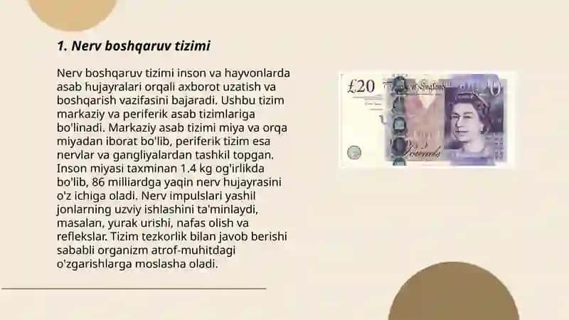 Nerv va gumoral boshqaruvning farqlari 3