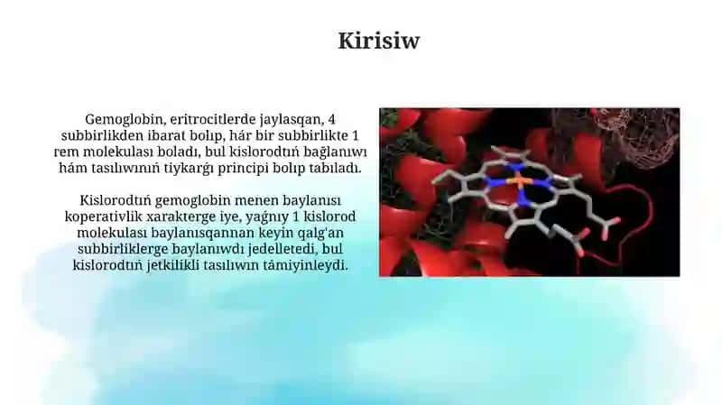 Gemoglobin arqalı kislorodtıń tasılıwı 3
