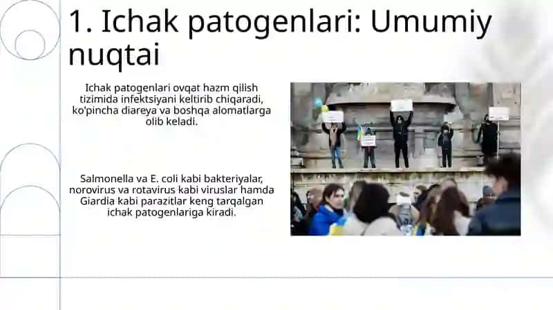 Enterik ichak invaziyalanishlari 3