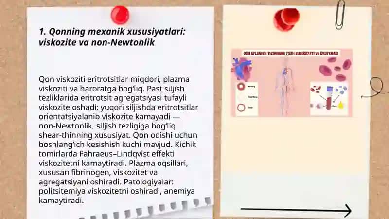 Qon aylanish sistemasining fizik asoslari 3
