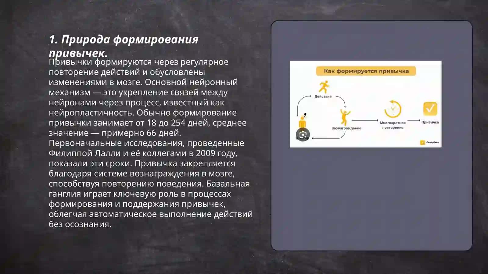 Формирования привычек поведения 3