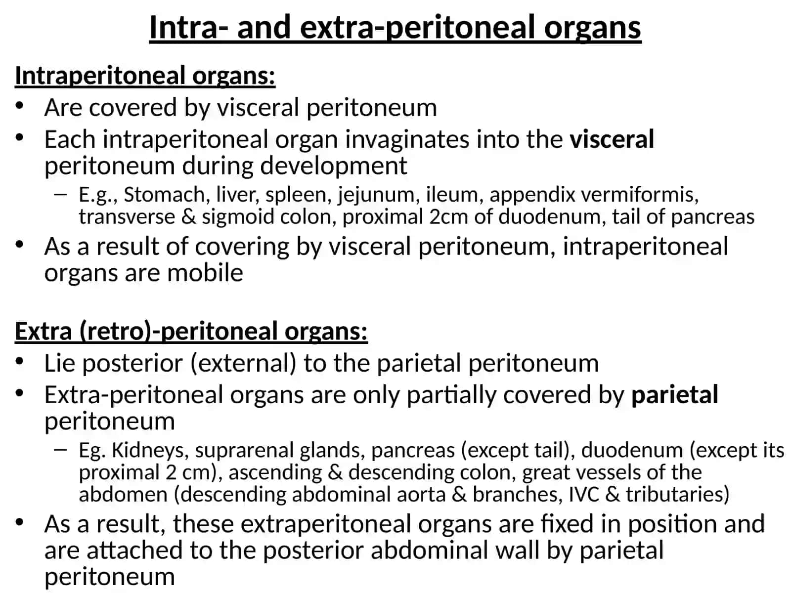 Peritoneum, blood supply &innervation of the abdomen 3