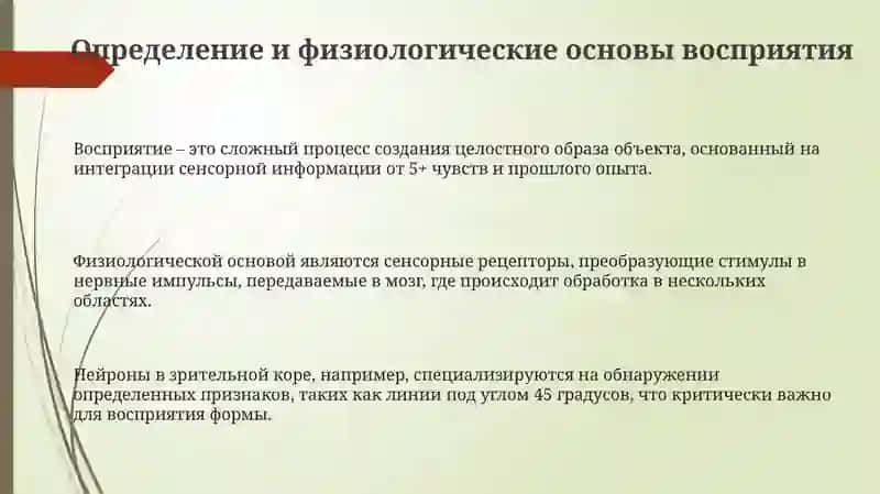 Восприятие и его характеристики 3