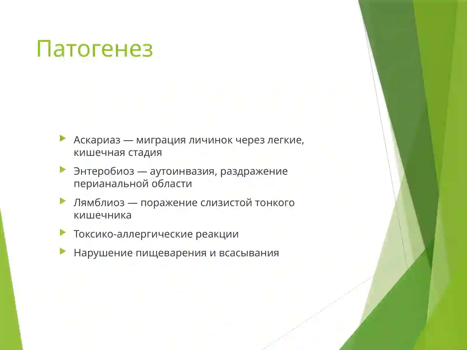 Гельминтозныезаболевания (Аскариаз,Энтеробиоз,Лямблиоз) 3