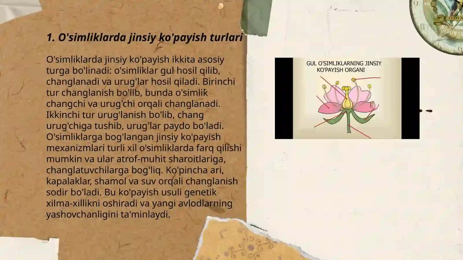 O'simliklarda jinsiy ko'payish turlari 3
