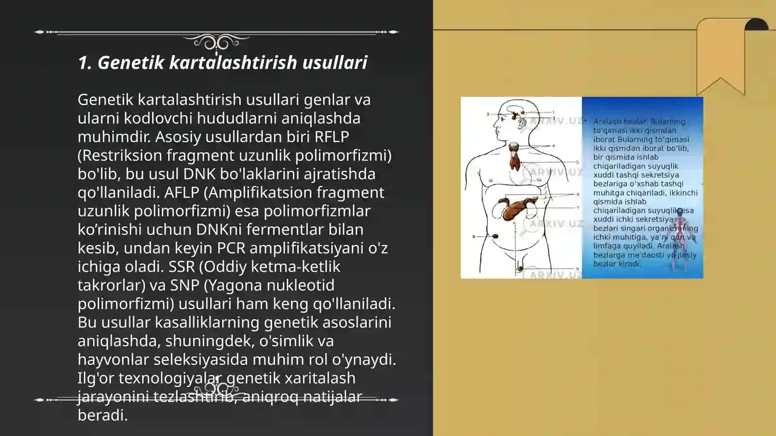 Odam genetikasining oʻrganish usullari: genealogik, sitogenetik va egizaklar usuli 3