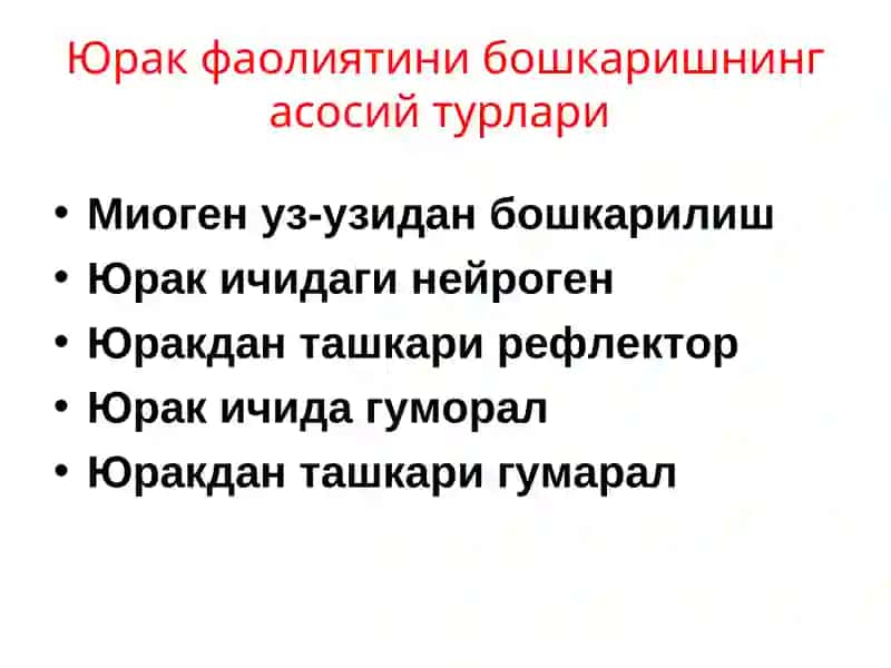 Yurak faoliyatining boshqarilishi 3
