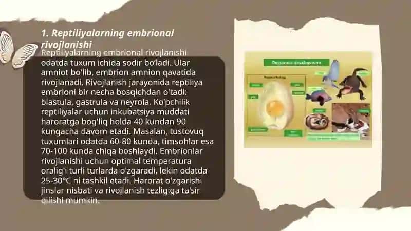 Reptiliyalarning individual rivojlanish xususiyatlari 3