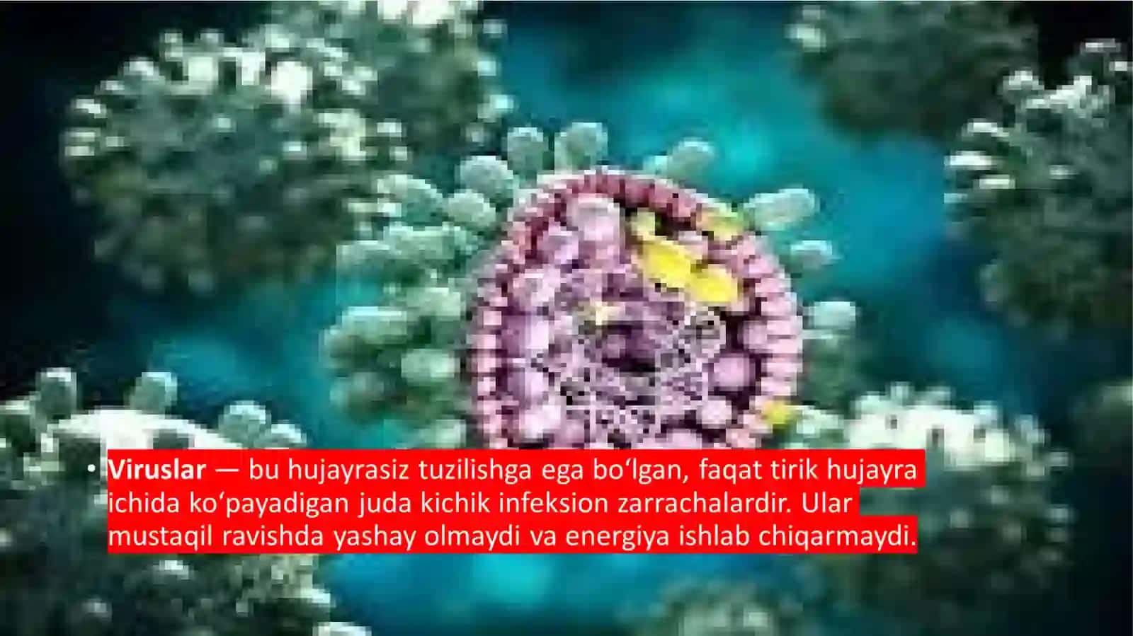 Viruslarning umumiy tavsifi 3