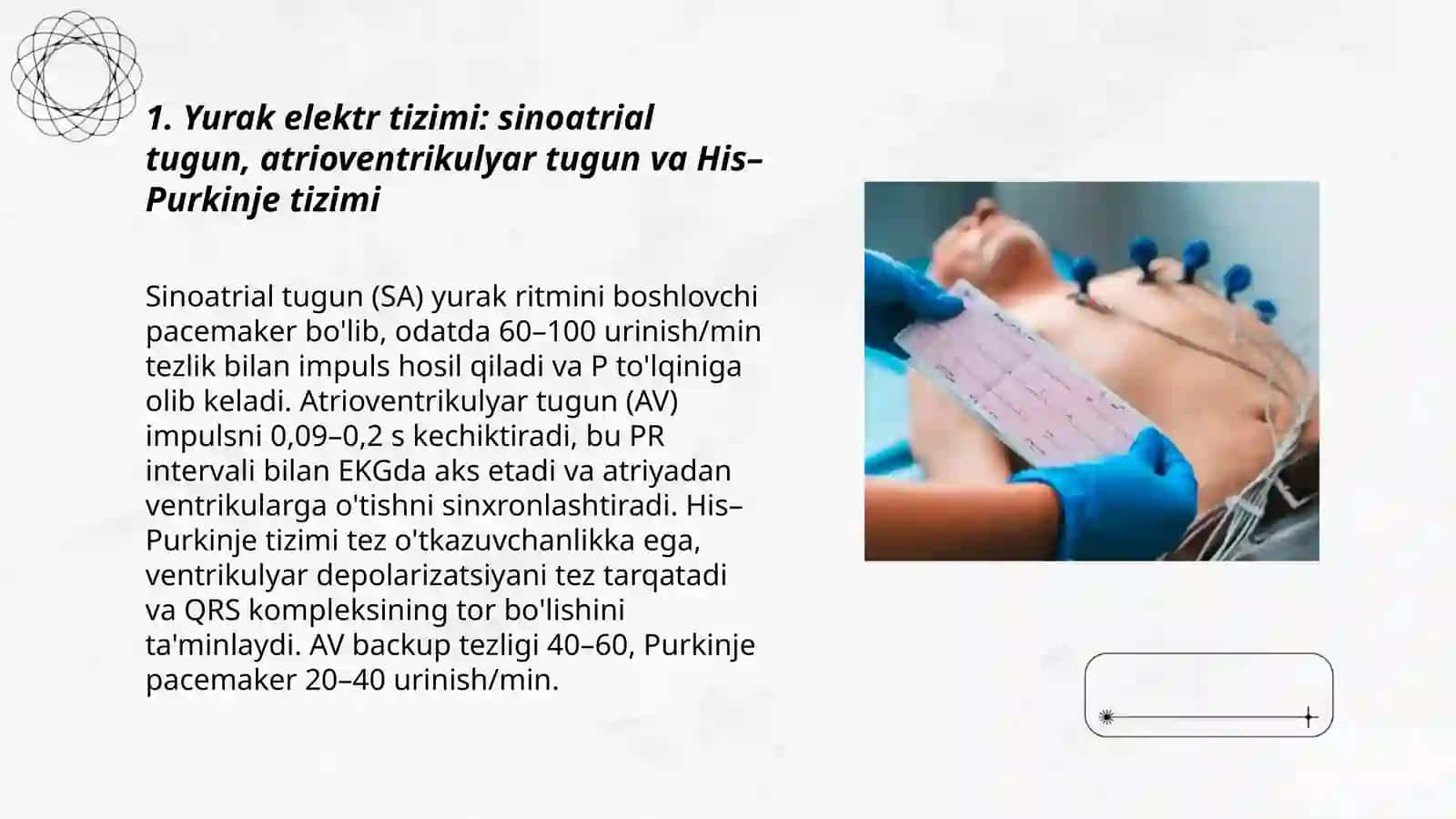 Yurak elektr tizimi 3