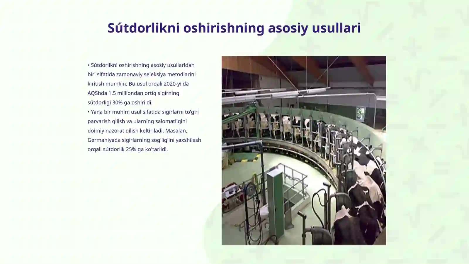 Sútdorlikni oshirish usullari 3