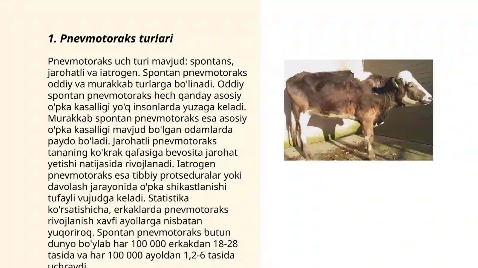 Hayvonlarda pnevmotoraks kasalligi 3