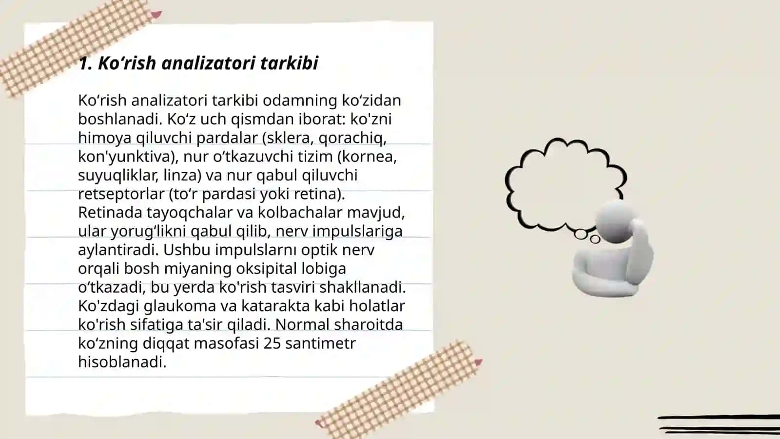 Koʻrish va eshitish analizatorlari 3