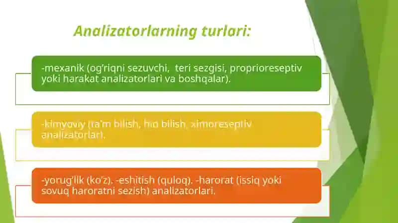 Analizatorlarning yosh xususiyatlari va gigieniyasi 3