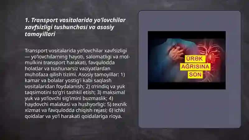 Transport vositalarida yo‘lovchilar xavfsizligi tushunchasi va asosiy tamoyillari 3
