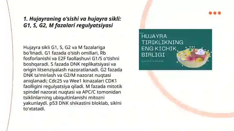 Hujayraning oʻsishi,ixtisoslashuvini oʻrganish 3