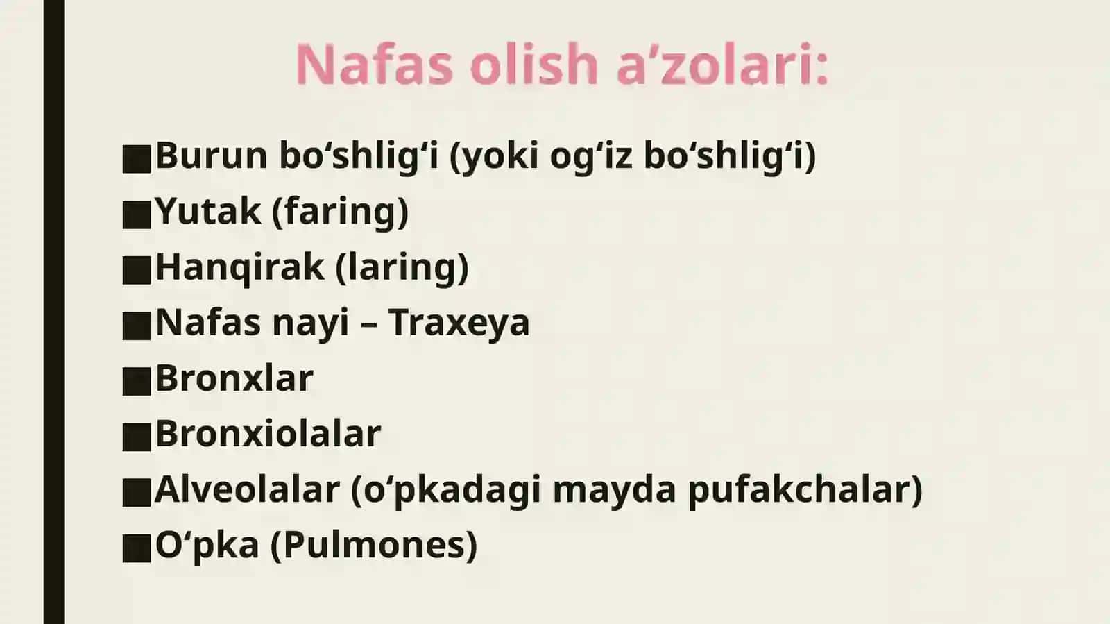 Nafasolishsistemasi 3