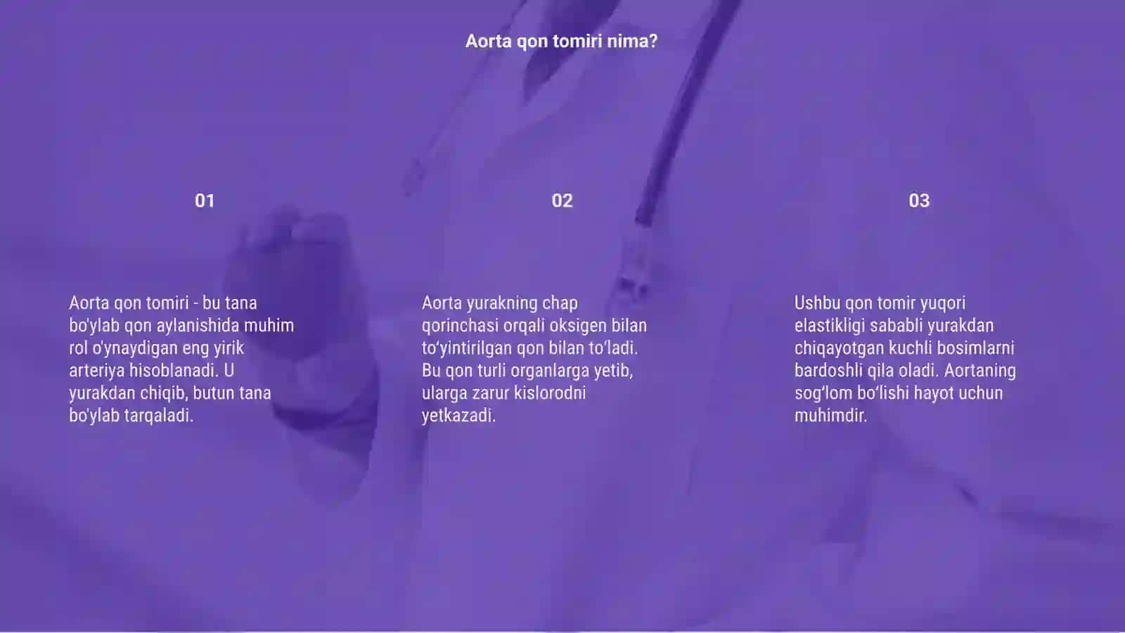 Aorta qon tomiri 3