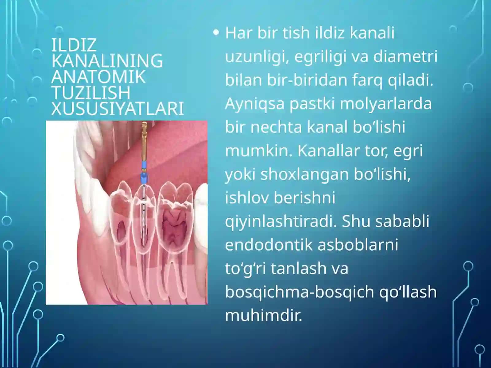 Endodontik davolashning maqsadi va ahamiyati 3