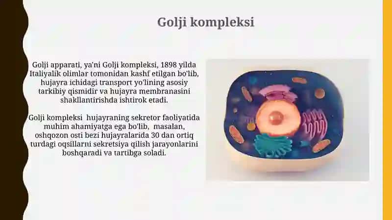 Golji kompleksi 3