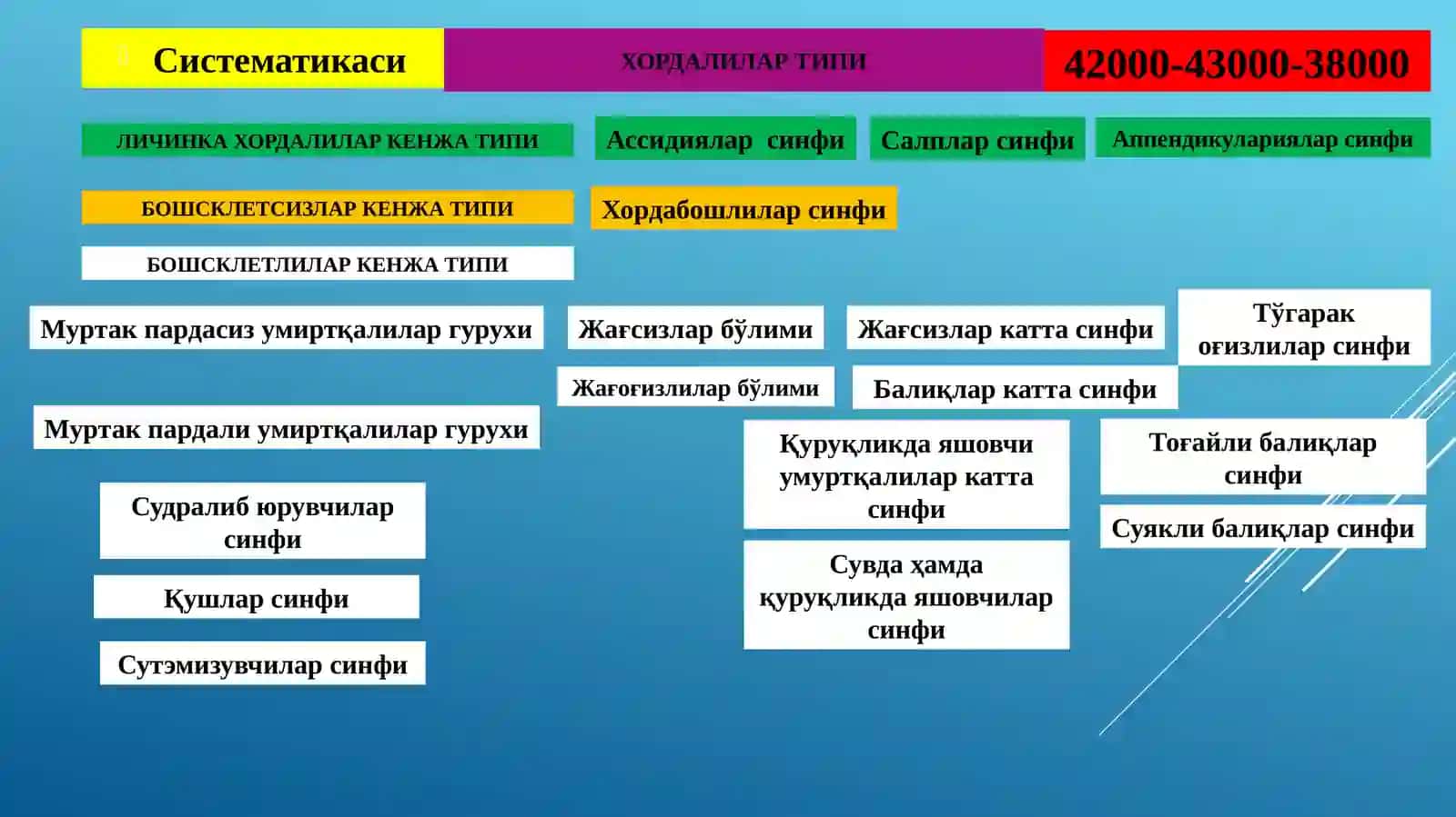 Хордалилар (CHORDATA) типининг умумий тавсифи 3