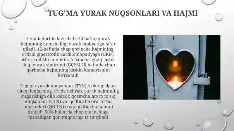 Yurak hajmi va nuqsonlari 3