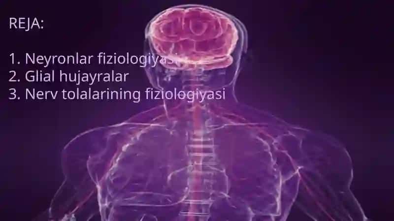 Nerv tolalari fiziologiyasi 3