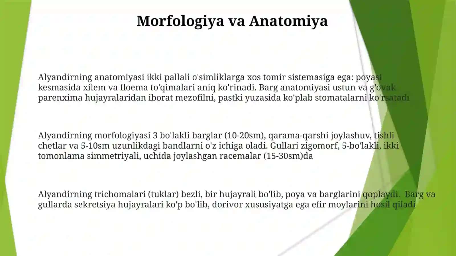 Alyandiroʻsimligihaqida 3