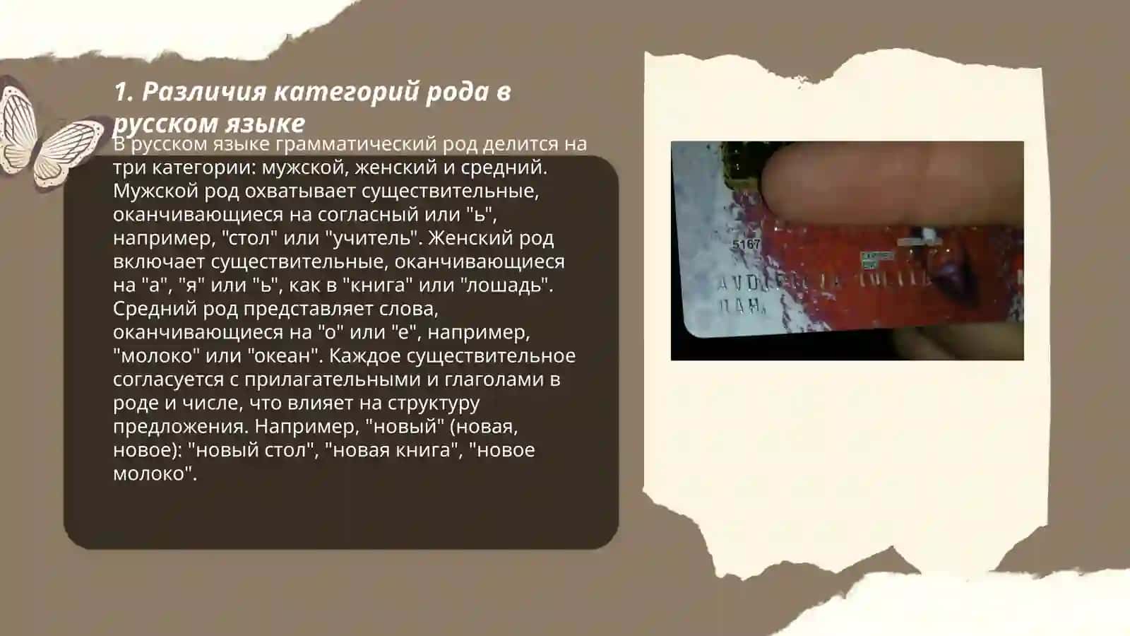 Категории рода и числа 3