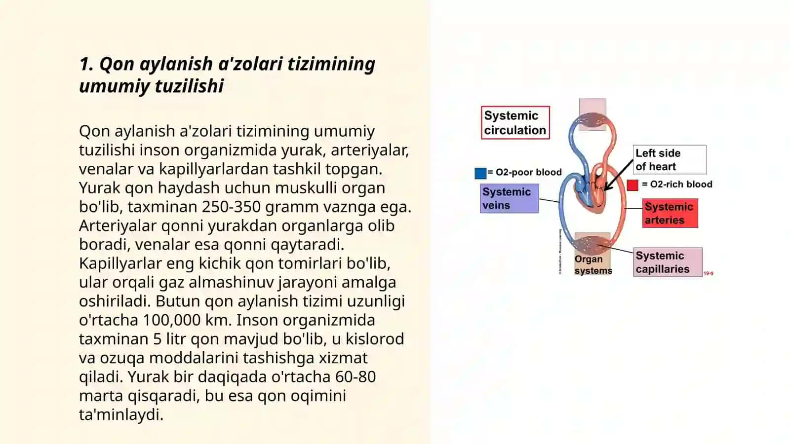 Qon aylanish a'zolari tizimini baholash 3