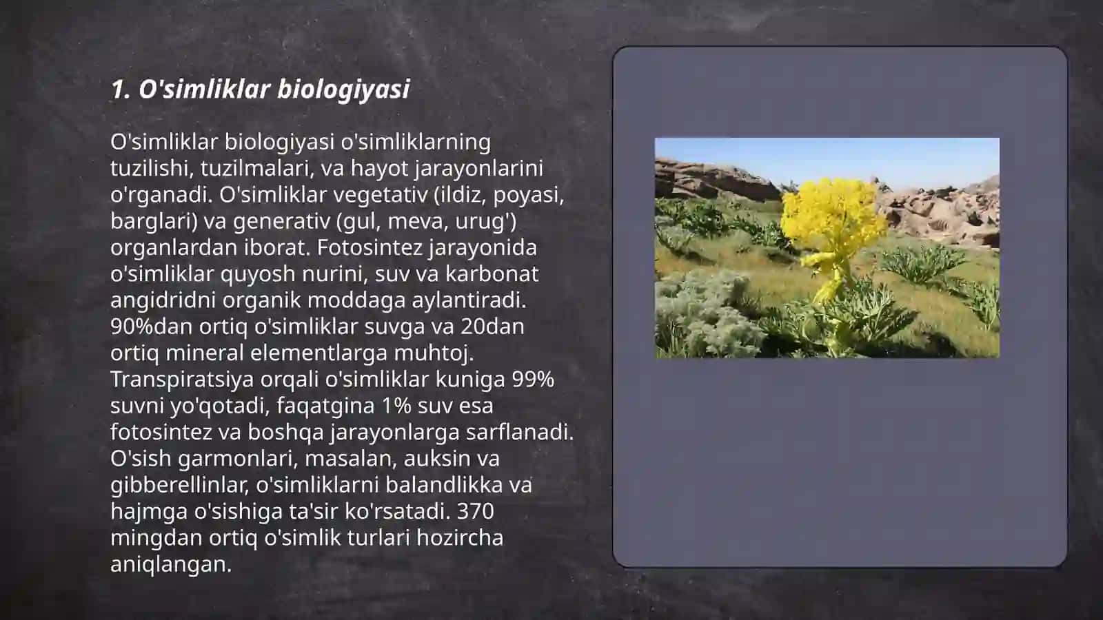 O'simliklar biologiyasi 3