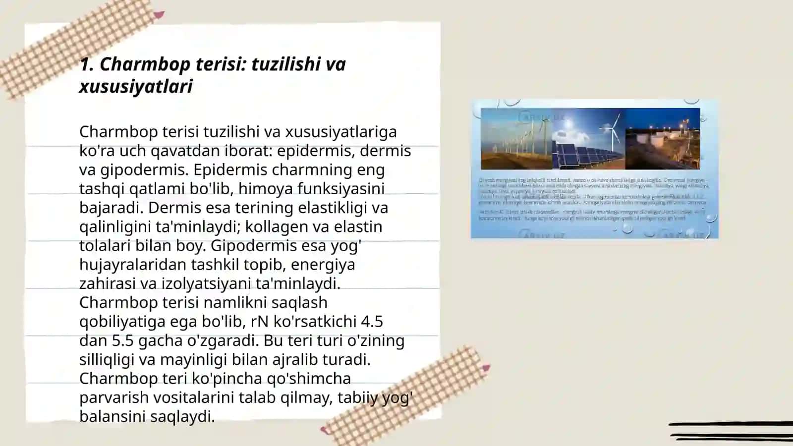 Charmbop terilarning xususiyatlari va tasnifi 3