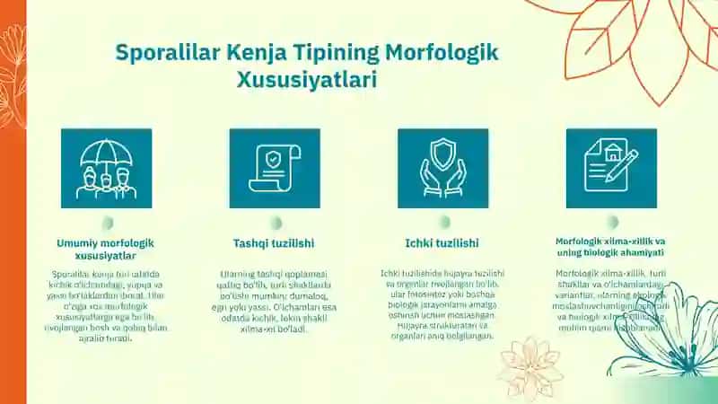 Sporalilar Kenja Tipining Morfologik Xususiyatlari 3