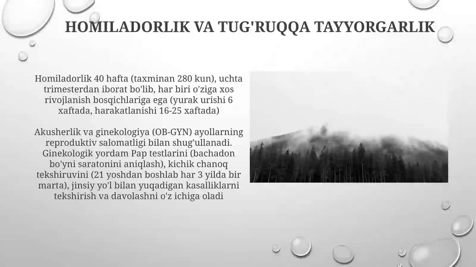 Akusherginekologiya 3