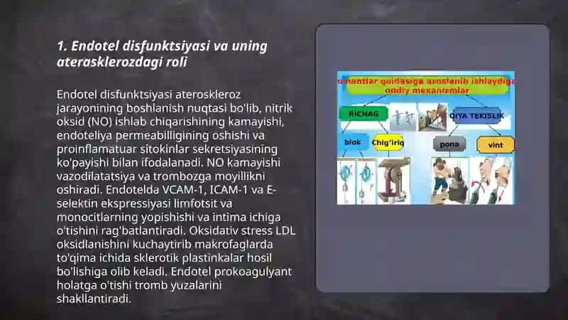 Aterasklerozning kelib chiqish mexanizmi 3