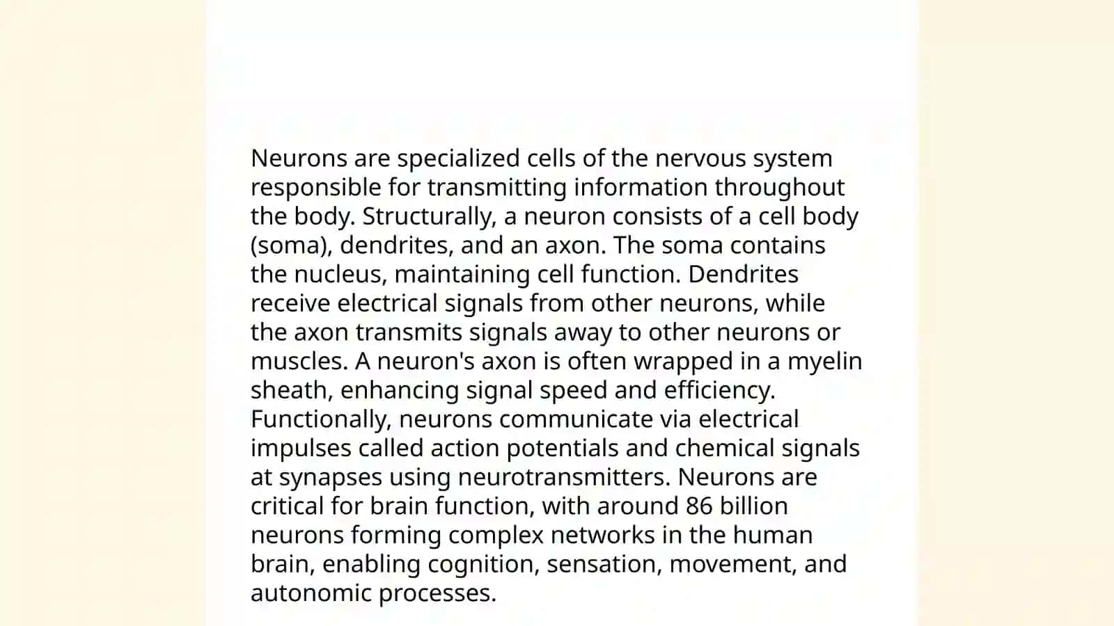 Nervous system 3