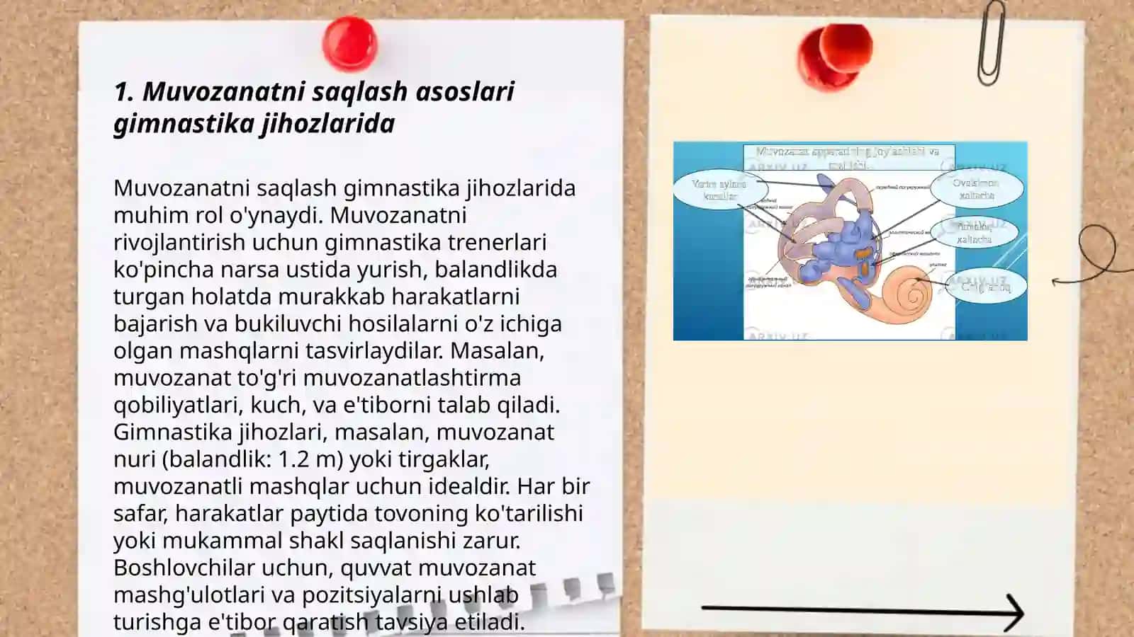 Muvozanatni saqlash texnikasi 3