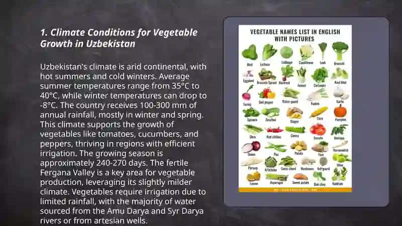 Plan: Climate Conditions for Vegetable Growth in Uzbekistan 3